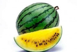 有关吃瓜的例子素材视频,吃瓜群众视角下的社会现象解析