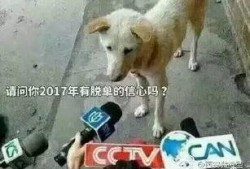 卧槽群众吃瓜视频,揭秘网络热点的背后真相