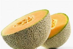 冬季哈密瓜怎么吃合适视频,冬季哈密瓜的多样美味食用指南