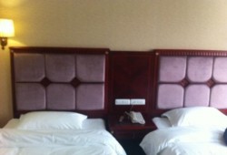 桂林某酒店吃瓜视频播放,一场意外引发的美食盛宴