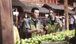 保亭吃瓜事件是真的吗视频,真相揭秘，视频还原现场