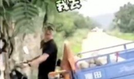 三轮车吃瓜视频,一场意外引发的欢乐盛宴