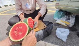 三轮车吃瓜视频,一场意外引发的欢乐盛宴