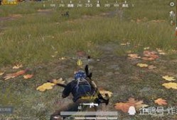 吃瓜人遇到狼人视频播放,视频曝光引网友热议