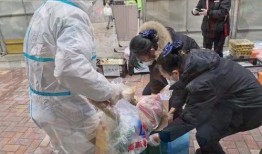 新疆疫情吃瓜事件视频,真相与误解的交织