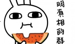 吃瓜火视频,揭秘娱乐圈幕后故事