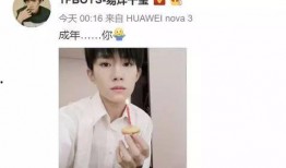 易烊千玺吃瓜娱乐视频,娱乐视频引发网友热议