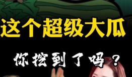 超级无敌吃瓜视频,带你领略网络热点的幕后故事