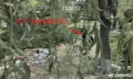 公园里吃瓜视频,吃瓜群众欢乐多