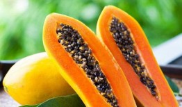 吃鸡哈密瓜唱歌视频大全,欢乐歌唱视频大盘点