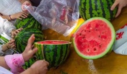 吃瓜视频教程大全集,轻松掌握短视频制作技巧