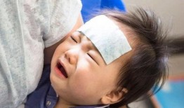 吃瓜视频扇巴掌,正义还是暴力？