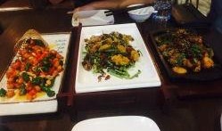 音乐餐厅吃瓜视频大全下载,一场视听盛宴的下载攻略