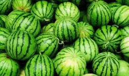 吃瓜火视频,揭秘娱乐圈幕后故事