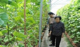 吃瓜群众搬砖视频真实,揭秘网络红人的真实生活