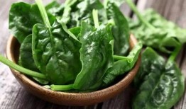 吃瓜菠菜视频下载,轻松获取热门内容