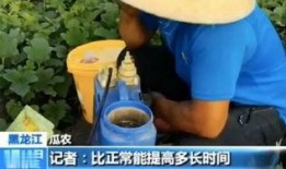 郑州疫情吃瓜视频曝光,揭秘病毒传播背后的真相