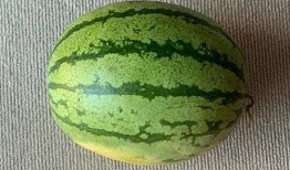 吃药吃瓜了的视频大全,趣味生活瞬间回顾