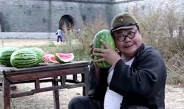 我们的翻译官吃瓜视频,揭秘幕后花絮与趣味瞬间