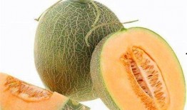 大嘴猴女吃哈密瓜视频,甜蜜滋味尽享其中