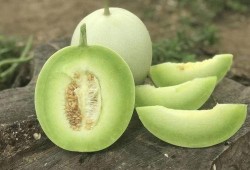 玉菇瓜怎么削皮吃视频