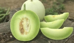 玉菇瓜怎么削皮吃视频