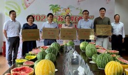 江苏常熟吃瓜视频