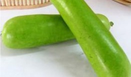 吃瓠瓜会不会中毒呀视频,揭秘安全食用指南