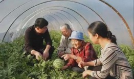 安新一中吃瓜视频,吃瓜视频背后的校园风云