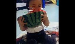 宝宝吃瓜文案搞笑版视频,萌态十足萌化人心