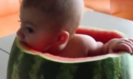 吃瓜视频小孩,揭秘小孩世界里的欢乐与成长