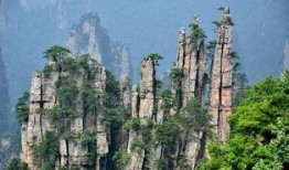 张家界订婚吃瓜视频大全,甜蜜瞬间大盘点