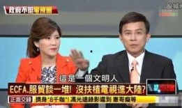 台湾名嘴吃瓜视频大全