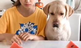 西瓜视频吃瓜大战,一场全民娱乐的狂欢盛宴