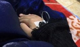 章鱼吃瓜视频在线观看,一场奇妙的海洋美食盛宴