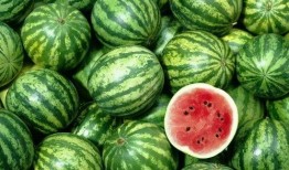 在西瓜视频吃瓜,吃瓜群众狂欢，揭秘热门视频背后的故事