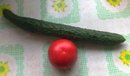 吃瓜视频儿童大全,趣味童年瞬间回顾