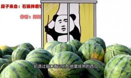 和二表哥吃瓜视频,一场娱乐与美食的盛宴