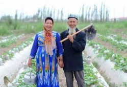 新疆舞吃蜜瓜教学视频,跟随教学视频学跳新疆舞