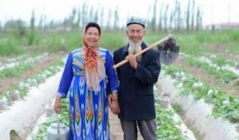 新疆舞吃蜜瓜教学视频,跟随教学视频学跳新疆舞