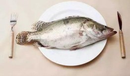 有鱼喜欢吃小瓜吗视频