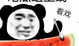 带你吃瓜奇葩萝卜视频,奇特萝卜视频背后的惊人真相