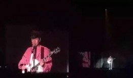 吃瓜演唱会姿势视频,一场视觉盛宴的狂欢现场