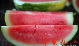 快乐的吃瓜怎么做视频