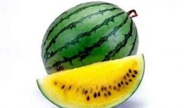 有关吃瓜的例子素材视频,吃瓜群众视角下的社会现象解析