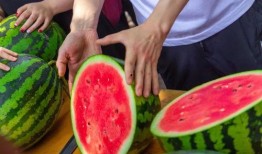 江西师大事件吃瓜视频,吃瓜群众围观校园风云