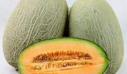 冬季哈密瓜怎么吃合适视频,冬季哈密瓜的多样美味食用指南