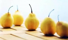 赤梨吃瓜自制视频教程,轻松学会制作热门自制视频