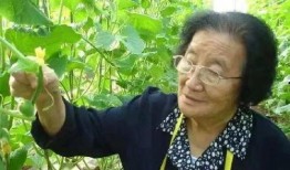 吃瓜小熊云南人视频下载