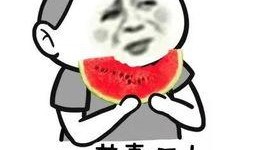 吃瓜群众喂鱼视频播放下载,喂鱼视频播放下载热潮席卷网络